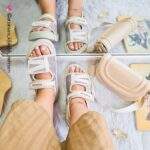 صندل کنفی توسی