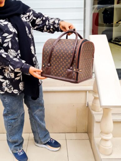 ساک صندوقی ساریژ